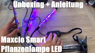 Maxcio Smart Pflanzenlampe LED Pflanzenlicht 12W Vollspektrum LED Grow Licht Unboxing amp Anleitung [upl. by Wycoff]