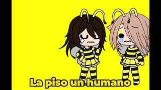 Las abejas se Comunican Bailando Meme [upl. by Croner103]