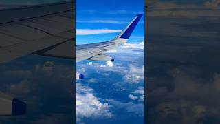 aviation pilot travel flight airways ig goair indigo aeroplane aeroplaneview notreal yt [upl. by Burny]