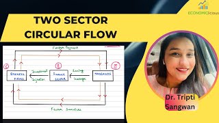 Two Sector Model of National Income Determination Simple Description [upl. by Asilam]