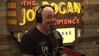 Joe Rogan Experience 1707  Kyle Dunnigan amp Kurt Metzger [upl. by Llemart923]