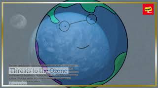 What is the Role of the Ozone Layer in Protecting Life on Earth [upl. by Cicenia657]