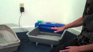 SelfCleaning Litter Boxes [upl. by Weigle]