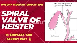 Spiral valve of heister  Extrahepatic biliary apparatus  ayeshamedicaleducation [upl. by Danna]