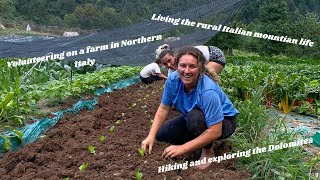 LIVING AND WORKING ON AN ORGANIC FARM IN ITALY WWOOF [upl. by Enilrad]