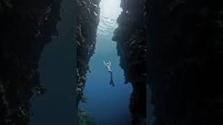 Diving spot in Bohol Napaling crack [upl. by Varhol]