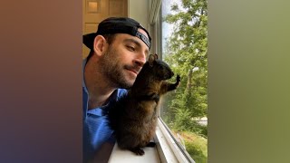 TRAGEDY Mark Longo Beloved Pet Squirrel amp Racoon Taken Euthanized [upl. by Nutter]