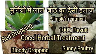 मुर्गियों में लाल खुनी बीठ का देसी इलाज  Cocci Herbal Treatment Broiler Poultry  Coccidiosis [upl. by Zoha]