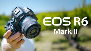 Canon EOS R6 Mark II Review From LUMIX amp SONY Users Perspective [upl. by Aissej897]