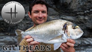 Open Coast Fishing for Gilthead Bream with Ben Conway [upl. by Yerfoeg]