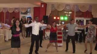 Formatia ACTUAL din MioveniPitesti 2015 sarba restaurant TIM [upl. by Marceau350]