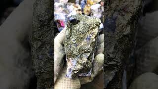 Finding gold  Natural gold catch part 22 crystals goldminers goldclothing gemstone youtube [upl. by Kuebbing]