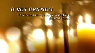 Great Advent  O Rex Gentium [upl. by Nilac]