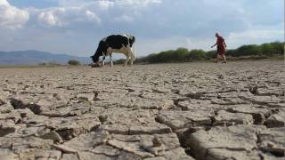 Desventajas del uso de Agroquímicos [upl. by Keel]