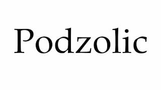 How to Pronounce Podzolic [upl. by Ellivro]