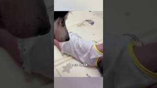 Protective Husky Sneaks into Room to Watch Over Sleeping Child [upl. by Candless]