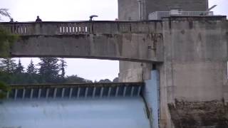 Pitlochry Dam and Fish Ladder with River Tummel in Spate [upl. by Balcer555]