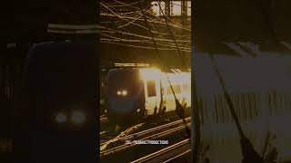 Sunset Northeast Corridor Trains [upl. by Akimehs]