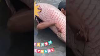 কি করছে দেখুন fishing  fish 🐠 🔥 [upl. by Sally]