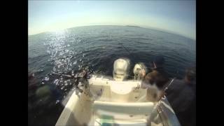 Powell River Saltwater Salmon Fishing [upl. by Sinne155]