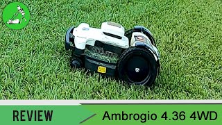 Ambrogio 4 36 Review amp Torture Test  Robot Lawn Mowers Australia [upl. by Haleigh328]