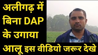 आलू की खेती में डीएपी का प्रयोग करते है तो वीडियो एक बार जरूर देखे [upl. by Donal]