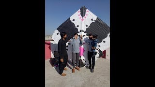 Basant in Pindi Pakistan 2019  30 TAWA patang [upl. by Ahsito267]