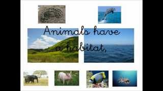 animals habitat song [upl. by Trimble]