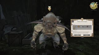 FFXIV Kobold Society Quest Misery Loves Company [upl. by Brynn]