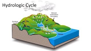 Hydrologic Cycle [upl. by Navets]