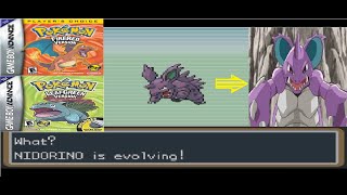 How to Evolve Nidorino to Nidoking in Pokemon Fire RedLeaf Green Easiest Method [upl. by Brainard]