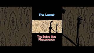 The Locust Vs The Boiled One Phenomenon Part 5 horrorshorts shorts analoghorror [upl. by Newsom]