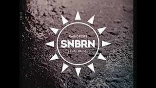 SNBRN  Raindrops Radio Edit [upl. by Wilterdink]