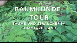 BaumkundeTour 17 Bäume und Sträucher erkennen [upl. by Alicea]