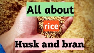 what is husk  what is bran what is difference between rice husk and rice barn in hindi and English [upl. by Jakoba]