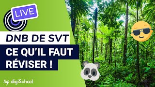 SVT  que fautil connaître pour le brevet [upl. by Nova]