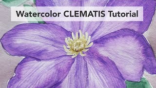 How to draw and paint a Clematis in watercolor  beginner tutorial and how to use masking fluid [upl. by Ahseikal]