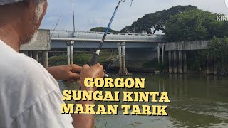 Mancing ikan di sungai kintastrike ikan Rohu  GORGON [upl. by Ysnat]