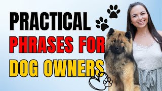 Practical German Phrases amp Vocabulary for Dog Owners  German Lesson [upl. by Vivie]