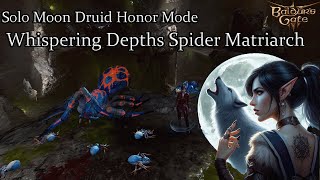 Solo Moon Druid Phase Spider Matriarch Honor Run [upl. by Karmen]