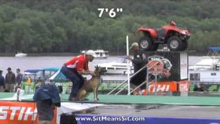 Extreme Vertical  DockDogs World Championships Iron Dog QuarterFinals with Puma [upl. by Adnolor]