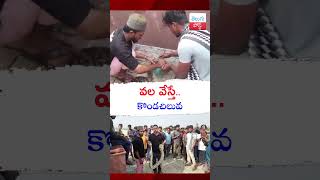 వల వేస్తే కొండచిలువ telugupost python realincident viralvideo [upl. by Ahsito232]