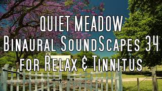 QUIET MEADOW  Binaural SoundScapes §34 for Relax amp Tinnitus [upl. by Quinn]