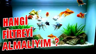 JAPON BALIKLARINDA FİLTRE SEÇİMİ  Japon Balığı Akvaryumu [upl. by Phelan]