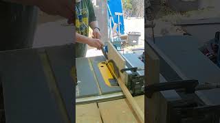 Cutting a Custom Shaped Batten shorts boatbuilding boatprojects diyboat [upl. by Howell]