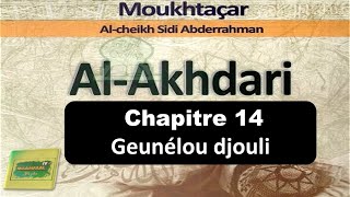 LAKHDARIChapitre 14Geunelou djouli par Oustaz Alioune Fall p1 [upl. by Hamal]