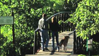 Stowe Vermont Recreation Path [upl. by Ashil]