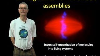 Tim Mitchison Harvard Part 1 Selforganization of microtubule assemblies [upl. by Kakalina]