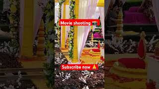 Haldi ceremony movie shooting  Hotel Nirvana Bareilly  Trending video 2024shortsfeed wedding [upl. by Innis]