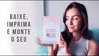 DIY Planner de Estudos para Baixar Volta às Aulas [upl. by Aicinat]